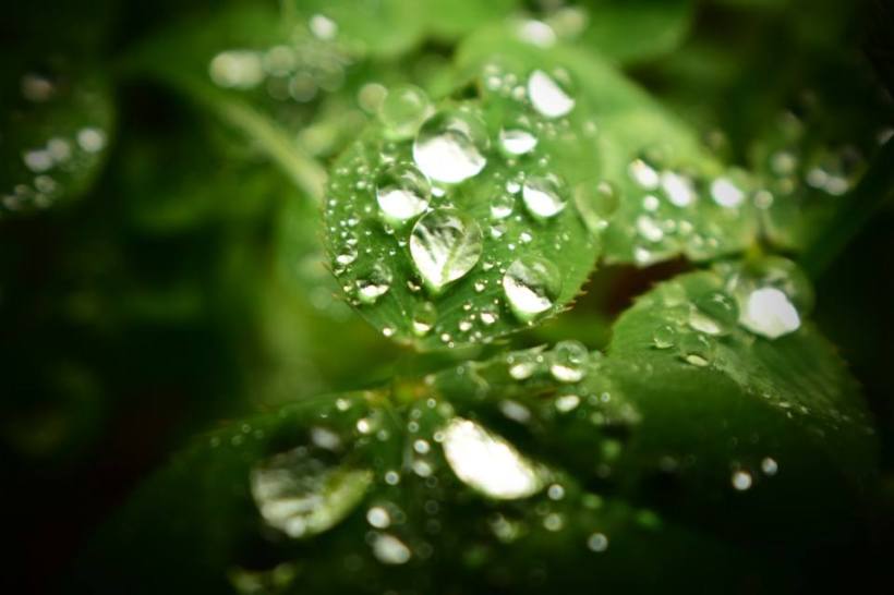 27749974_10159872833785304_3781490055423283562_n