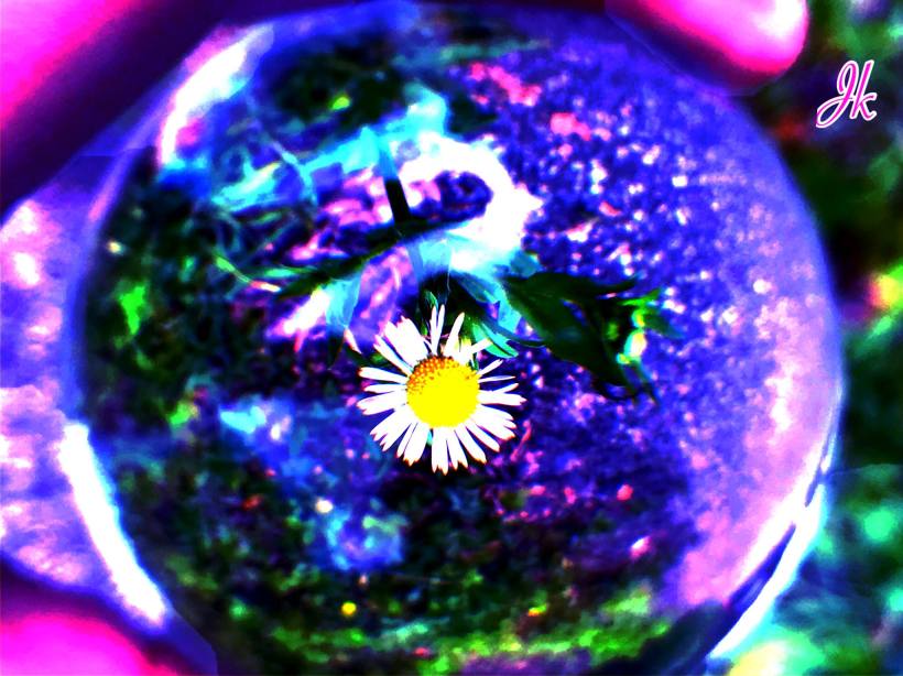 35842363_10160399234850304_1744908550800408576_o